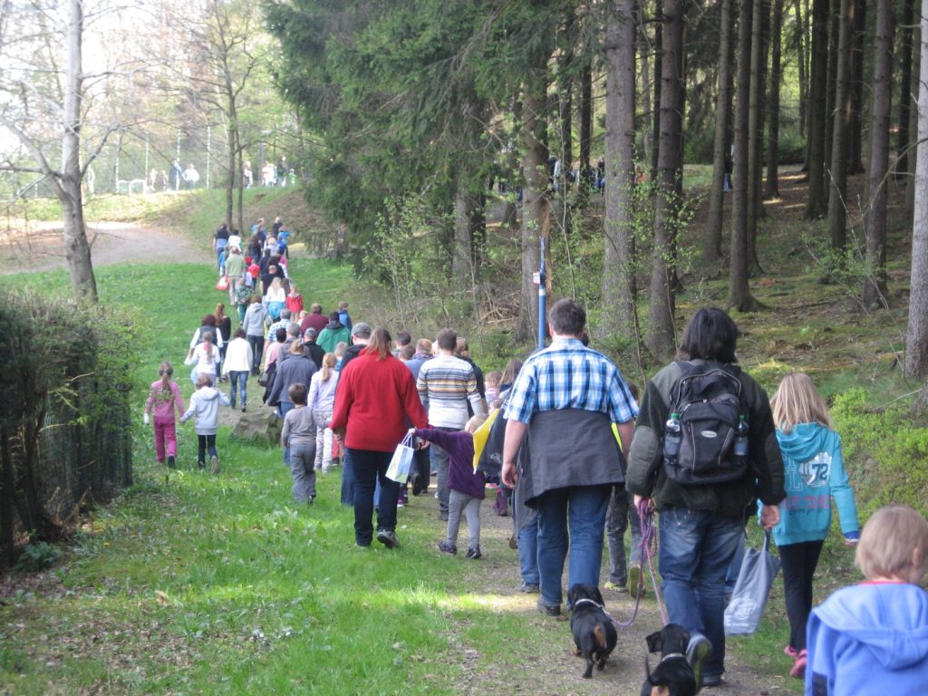 Wandernde Personengruppe auf Waldweg